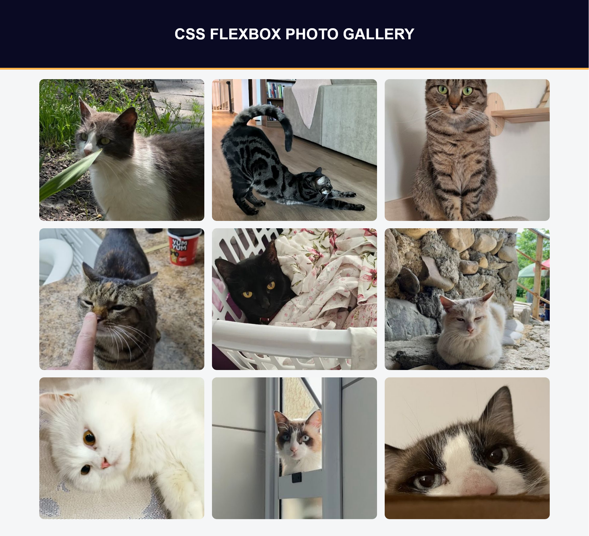 photo-gallery